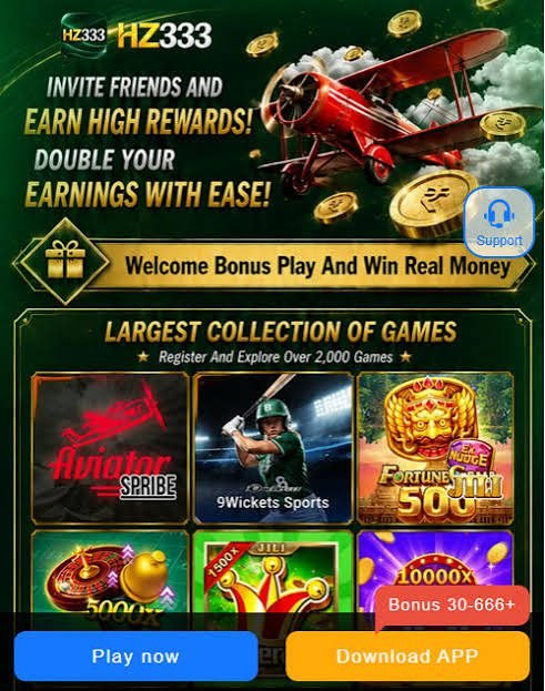 HZ333 Game after login dashboard and user account interface