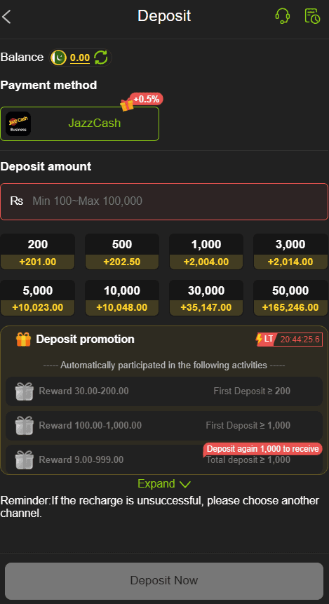 ZS999 Game deposit section with a modern account interface