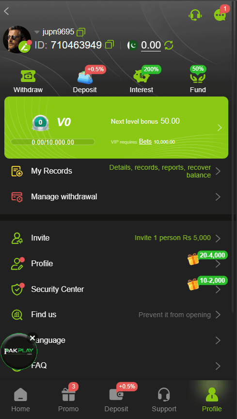 ZS999 Game profile section showing a modern user account interface